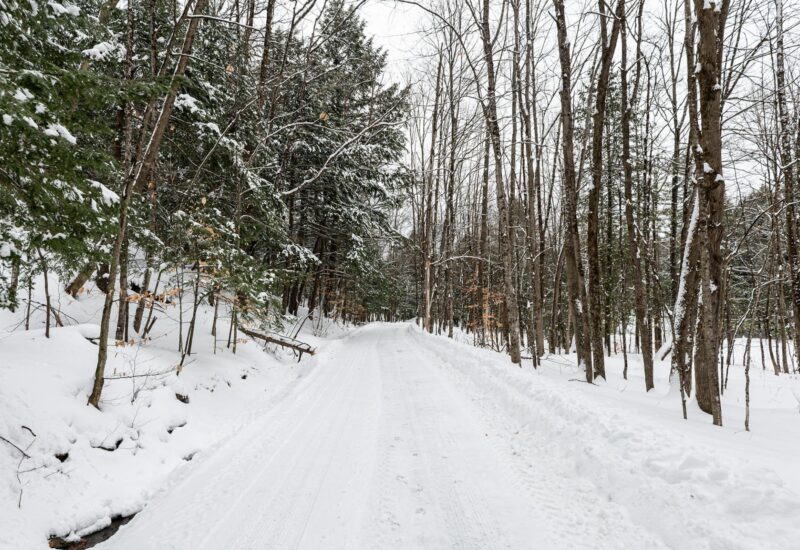 61 Ch. William-H.-Abbott  Potton (Estrie)