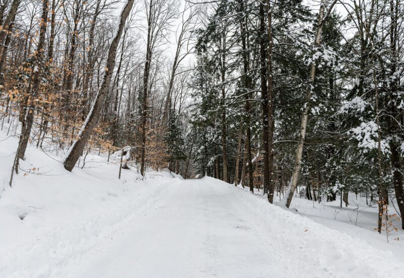 61 Ch. William-H.-Abbott  Potton (Estrie)