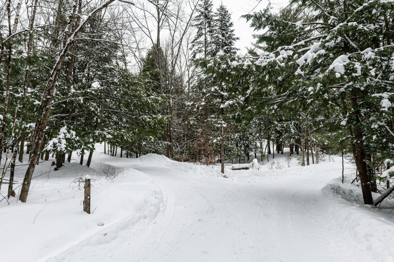 61 Ch. William-H.-Abbott  Potton (Estrie)