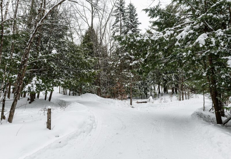 61 Ch. William-H.-Abbott  Potton (Estrie)