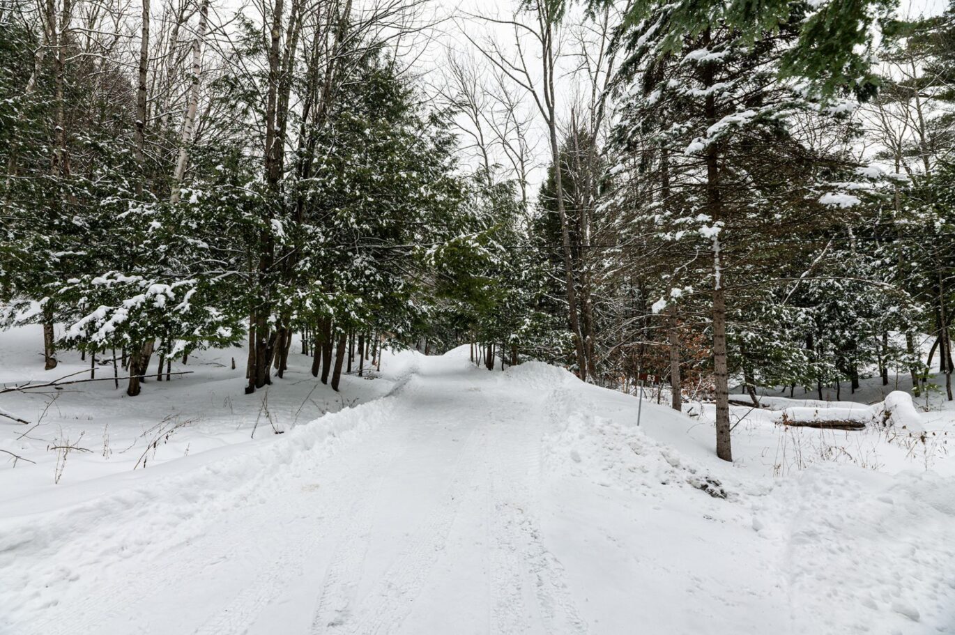 61 Ch. William-H.-Abbott  Potton (Estrie)