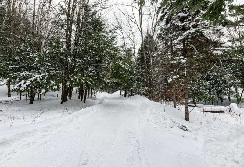 61 Ch. William-H.-Abbott  Potton (Estrie)