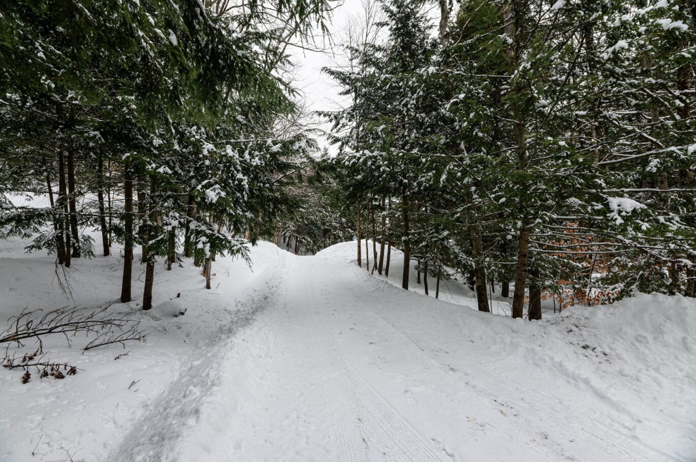 61 Ch. William-H.-Abbott  Potton (Estrie)