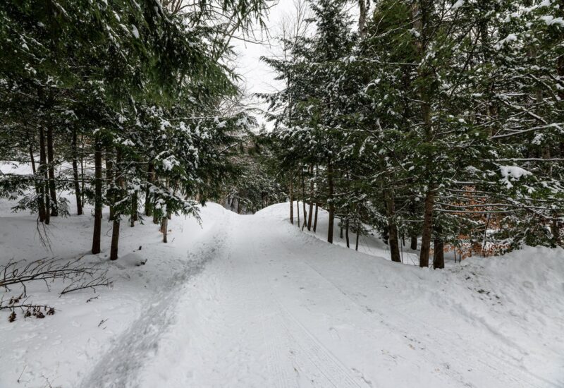 61 Ch. William-H.-Abbott  Potton (Estrie)