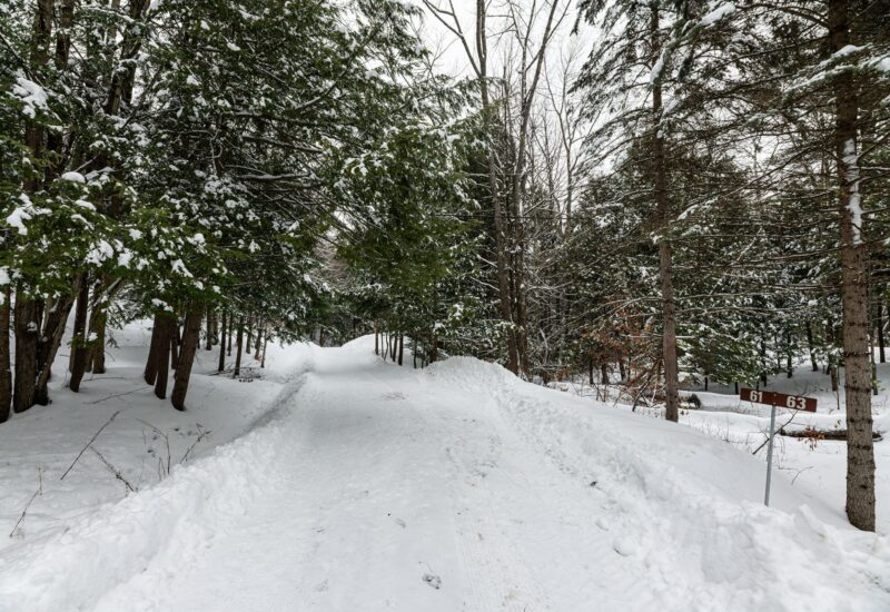 61 Ch. William-H.-Abbott  Potton (Estrie)