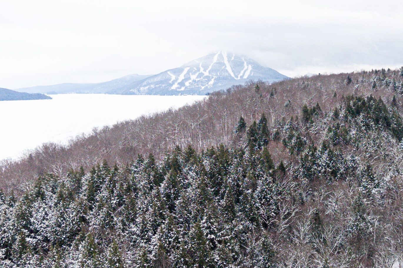 61 Ch. William-H.-Abbott  Potton (Estrie)