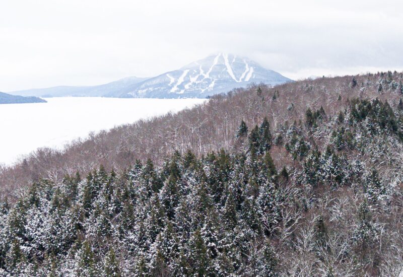 61 Ch. William-H.-Abbott  Potton (Estrie)