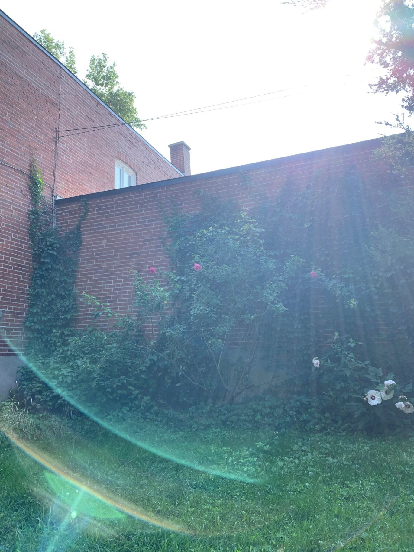 7990 Av. Wiseman  Montréal (Villeray/Saint-Michel/Parc-Extension) (Montréal)