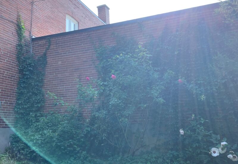 7990 Av. Wiseman  Montréal (Villeray/Saint-Michel/Parc-Extension) (Montréal)