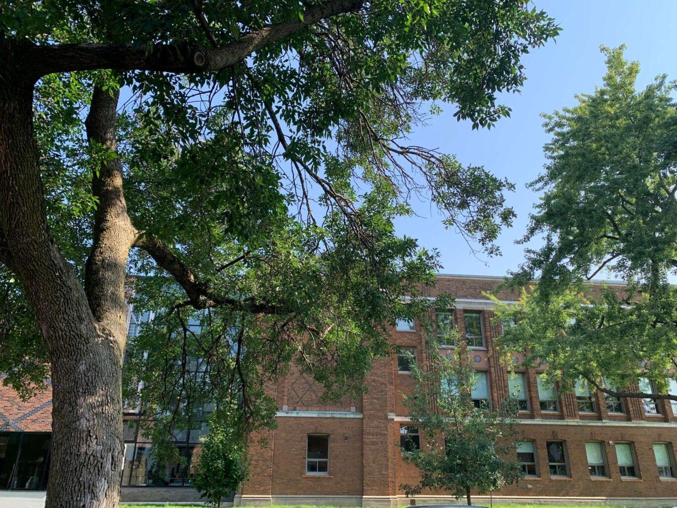 7990 Av. Wiseman  Montréal (Villeray/Saint-Michel/Parc-Extension) (Montréal)