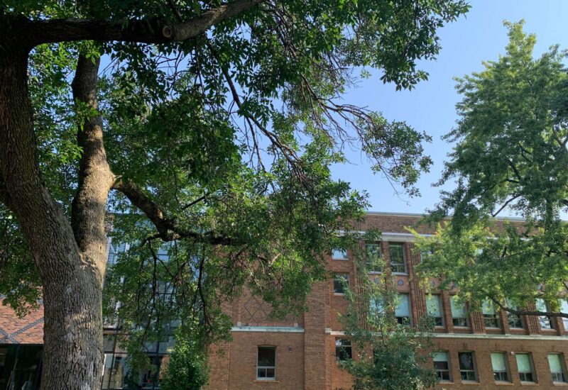 7990 Av. Wiseman  Montréal (Villeray/Saint-Michel/Parc-Extension) (Montréal)