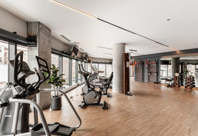 4599 Av. Clanranald #705  Montréal (Côte-des-Neiges/Notre-Dame-de-Grâce) (Montréal)