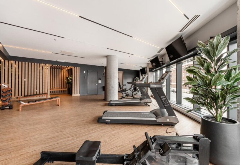 4599 Av. Clanranald #705  Montréal (Côte-des-Neiges/Notre-Dame-de-Grâce) (Montréal)