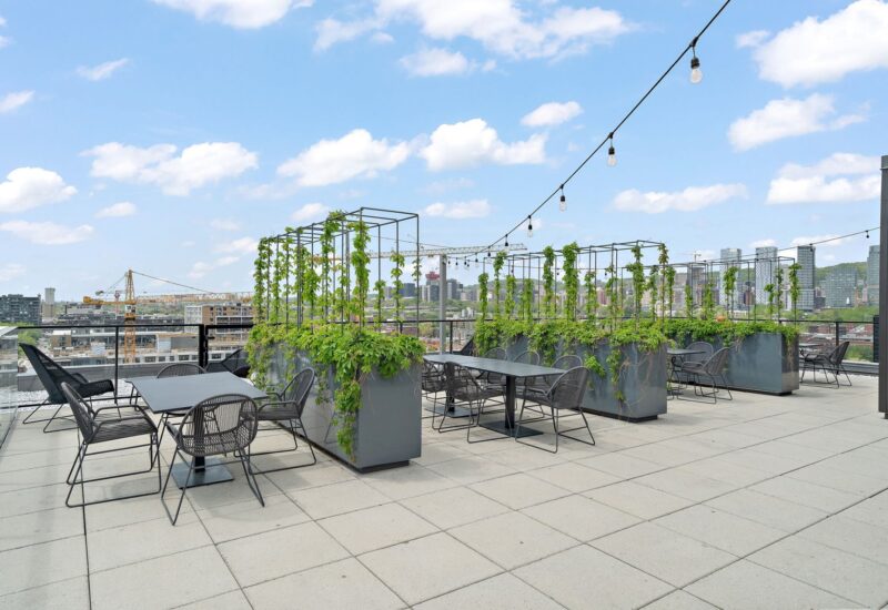 1375 Rue des Bassins #115  Montréal (Le Sud-Ouest) (Montréal)