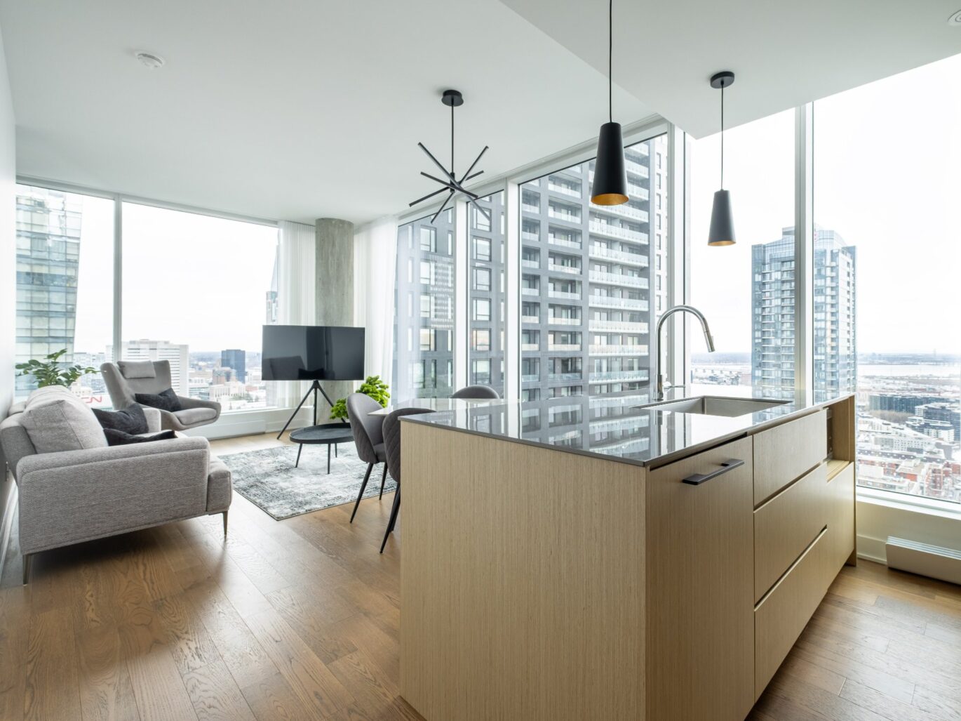 1020 Rue de la Montagne #3605  Montréal (Ville-Marie) (Montréal)