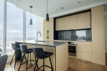 1020 Rue de la Montagne #3605  Montréal (Ville-Marie) (Montréal)