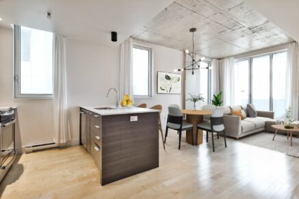 888 Rue Wellington #714  Montréal (Ville-Marie) (Montréal)