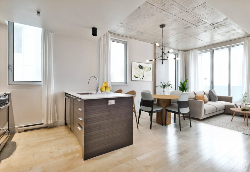 888 Rue Wellington #714  Montréal (Ville-Marie) (Montréal)