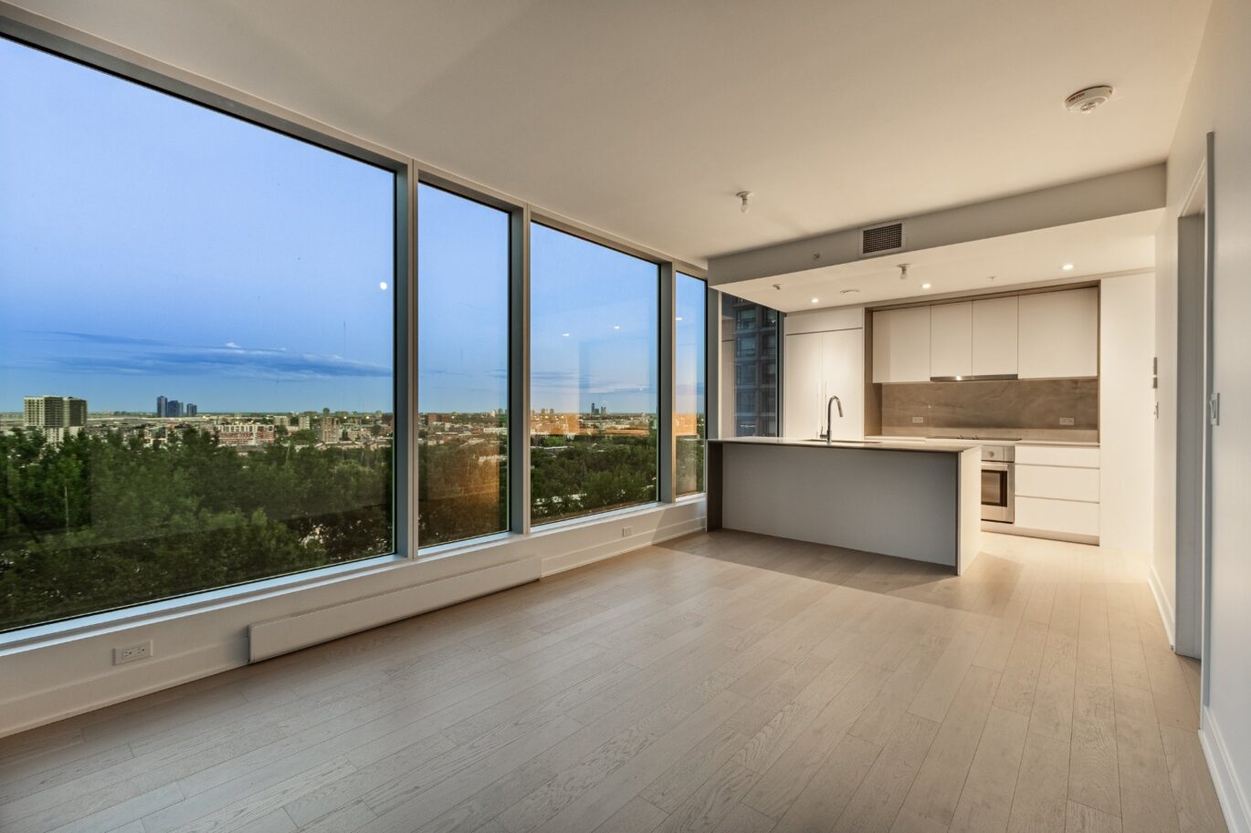 1020 Rue de la Montagne #805  Montréal (Ville-Marie) (Montréal)