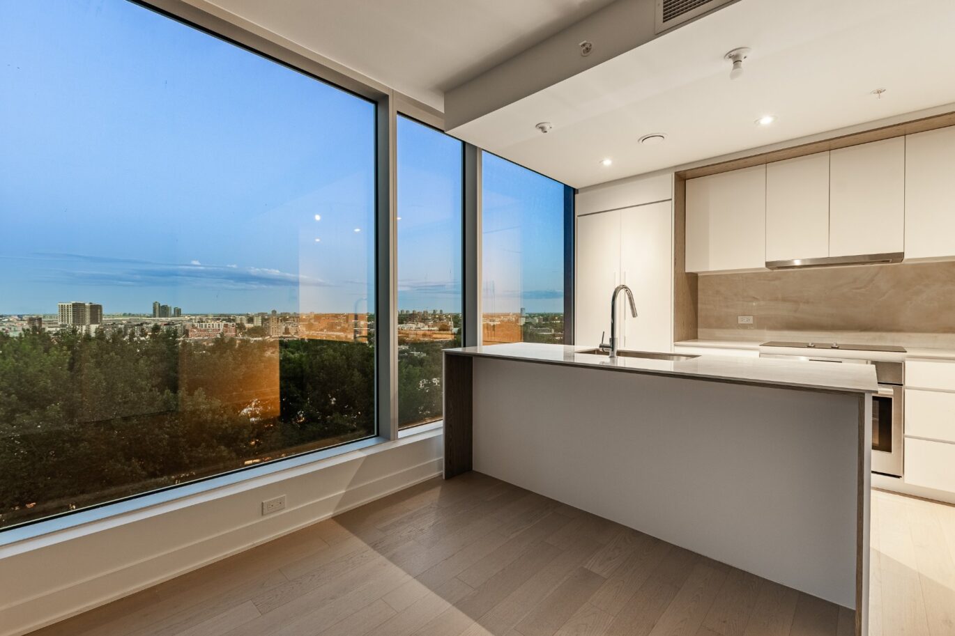 1020 Rue de la Montagne #805  Montréal (Ville-Marie) (Montréal)