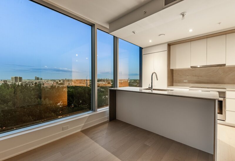 1020 Rue de la Montagne #805  Montréal (Ville-Marie) (Montréal)