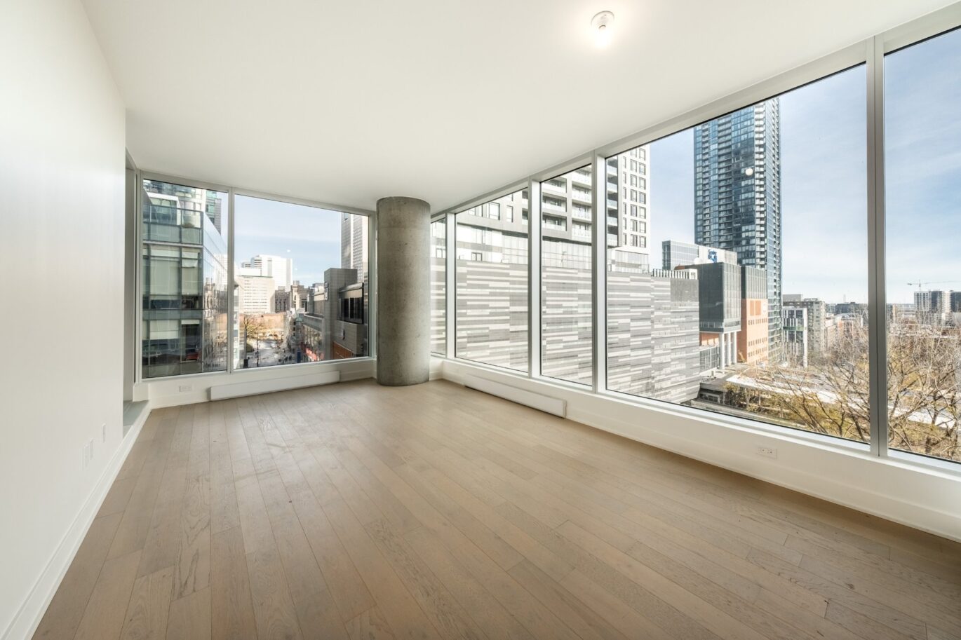 1020 Rue de la Montagne #805  Montréal (Ville-Marie) (Montréal)