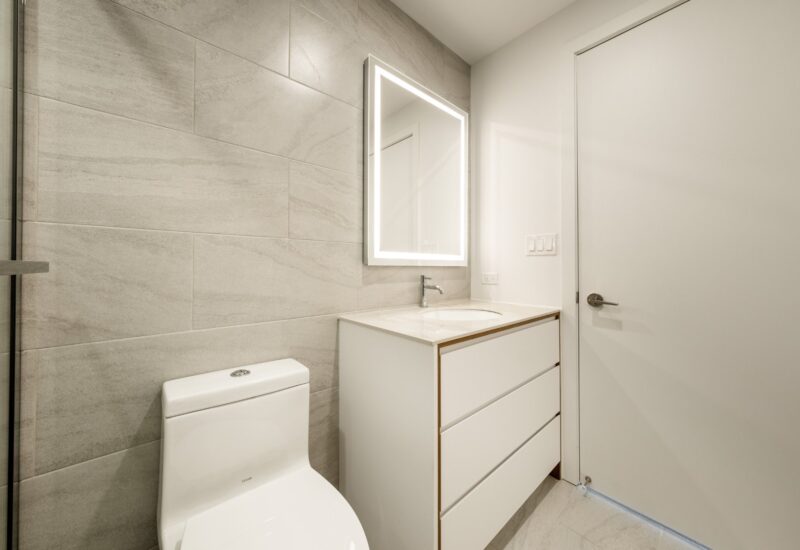 1020 Rue de la Montagne #805  Montréal (Ville-Marie) (Montréal)