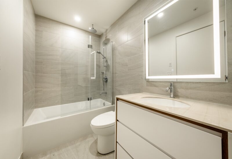 1020 Rue de la Montagne #805  Montréal (Ville-Marie) (Montréal)