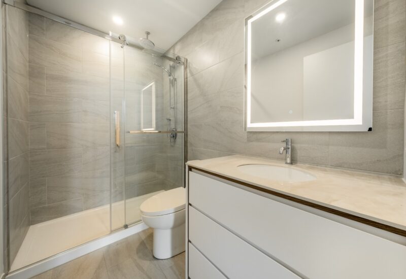 1020 Rue de la Montagne #805  Montréal (Ville-Marie) (Montréal)