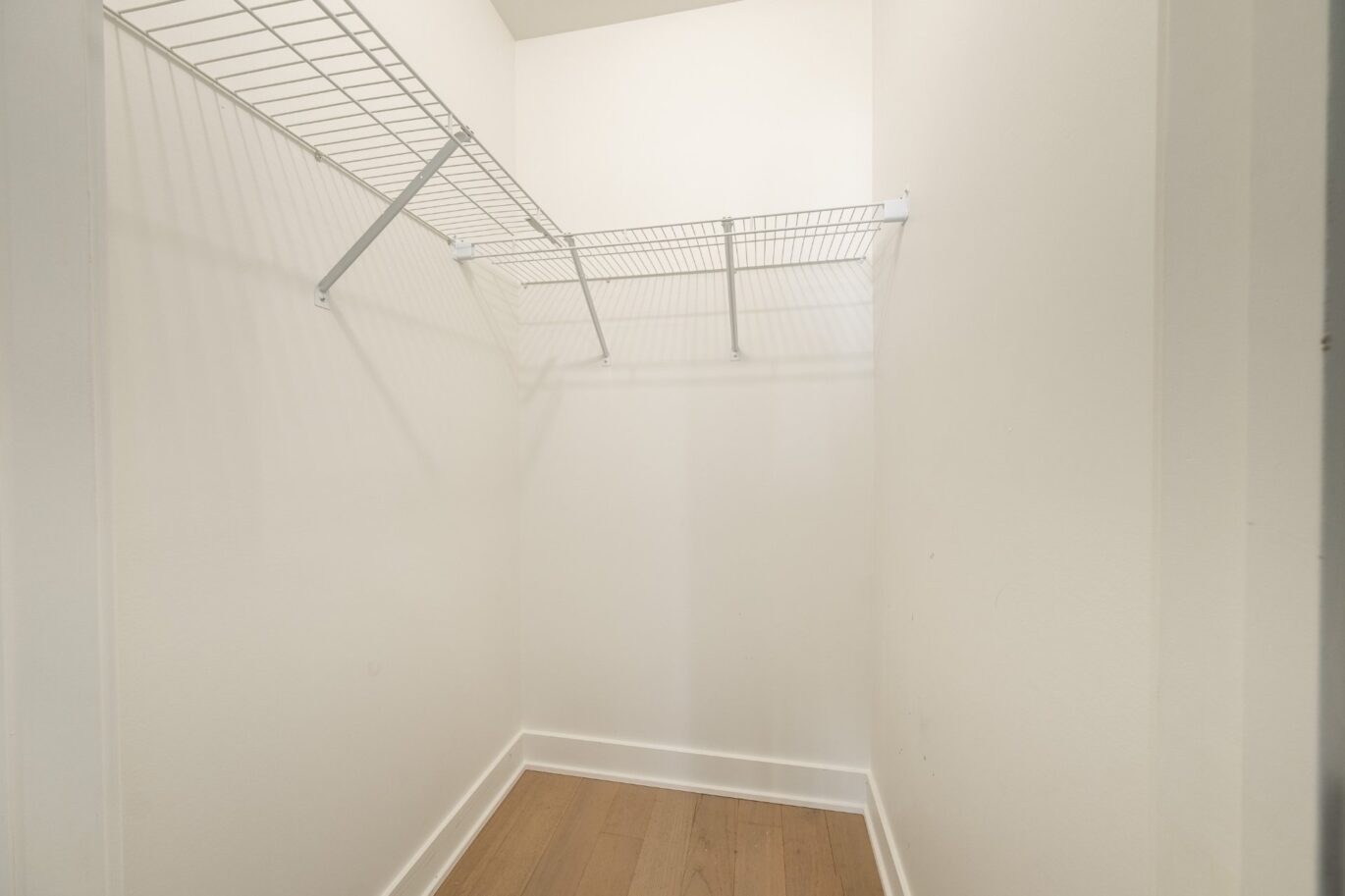 1020 Rue de la Montagne #805  Montréal (Ville-Marie) (Montréal)