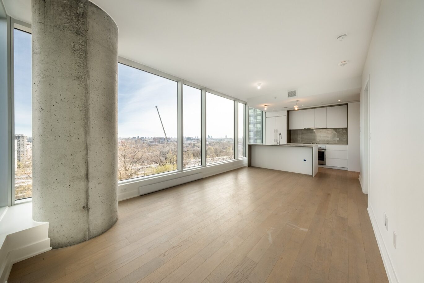 1020 Rue de la Montagne #805  Montréal (Ville-Marie) (Montréal)