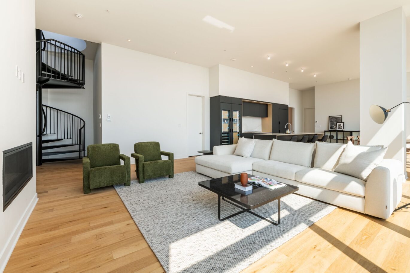 1020 Rue de la Montagne #PH-4102  Montréal (Ville-Marie) (Montréal)