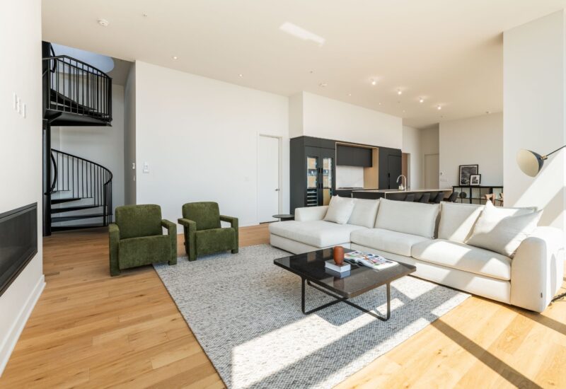 1020 Rue de la Montagne #PH-4102  Montréal (Ville-Marie) (Montréal)