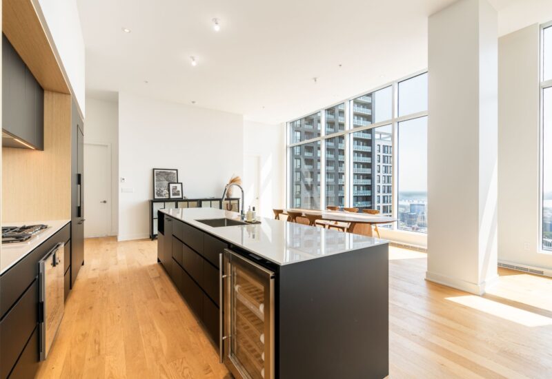 1020 Rue de la Montagne #PH-4102  Montréal (Ville-Marie) (Montréal)