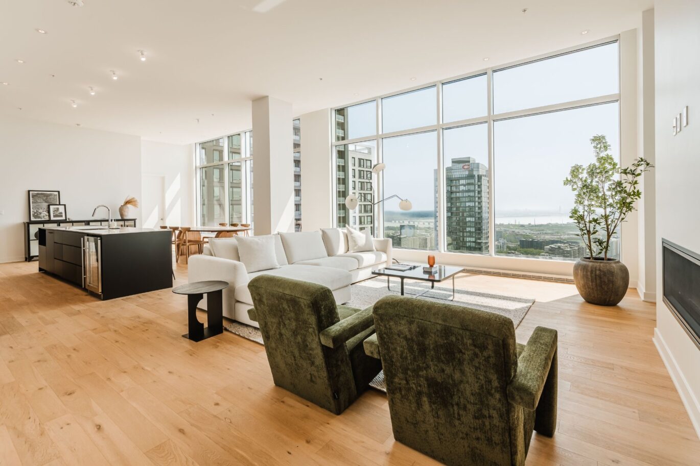 1020 Rue de la Montagne #PH-4102  Montréal (Ville-Marie) (Montréal)