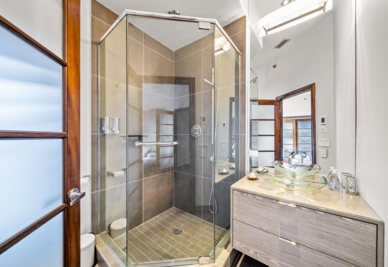 849 Rue St-Timothée  Montréal (Ville-Marie) (Montréal)