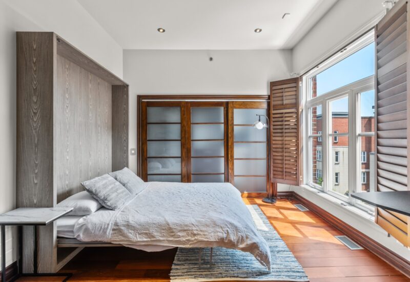 849 Rue St-Timothée  Montréal (Ville-Marie) (Montréal)