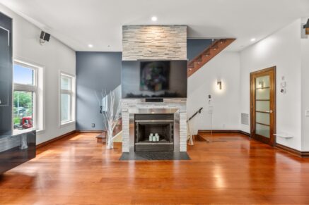 849 Rue St-Timothée  Montréal (Ville-Marie) (Montréal)