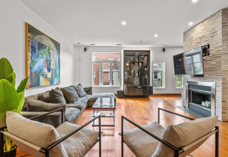 849 Rue St-Timothée  Montréal (Ville-Marie) (Montréal)