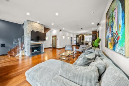 849 Rue St-Timothée  Montréal (Ville-Marie) (Montréal)