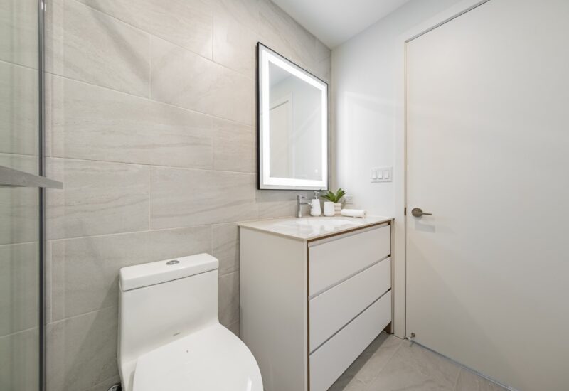 1020 Rue de la Montagne #705  Montréal (Ville-Marie) (Montréal)