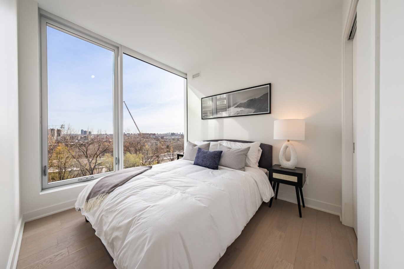 1020 Rue de la Montagne #705  Montréal (Ville-Marie) (Montréal)