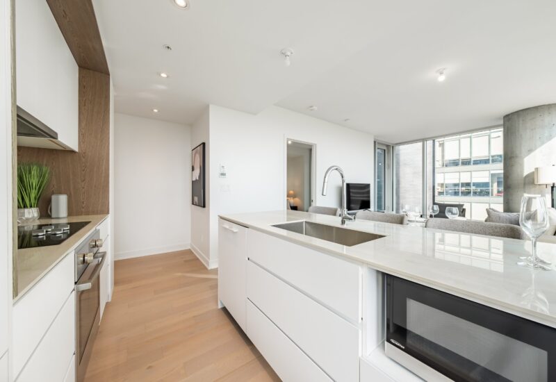 1020 Rue de la Montagne #705  Montréal (Ville-Marie) (Montréal)