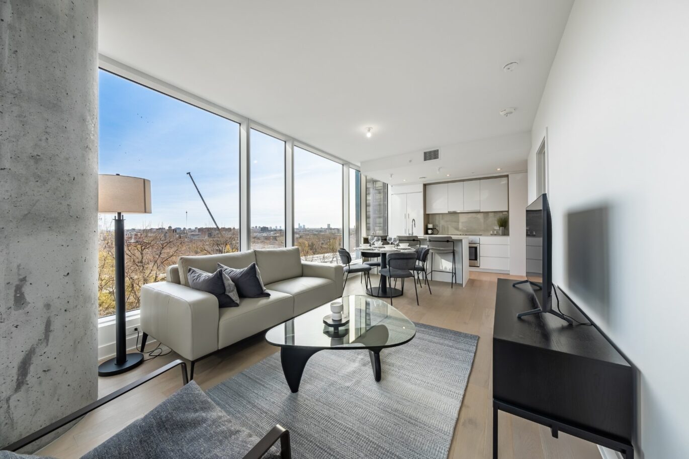 1020 Rue de la Montagne #705  Montréal (Ville-Marie) (Montréal)