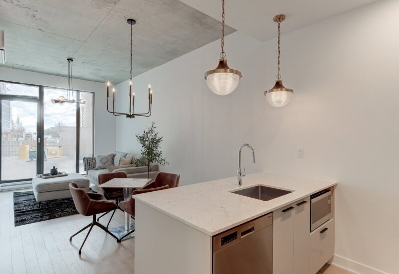 1150 Boul. René-Lévesque E. #104  Montréal (Ville-Marie) (Montréal)