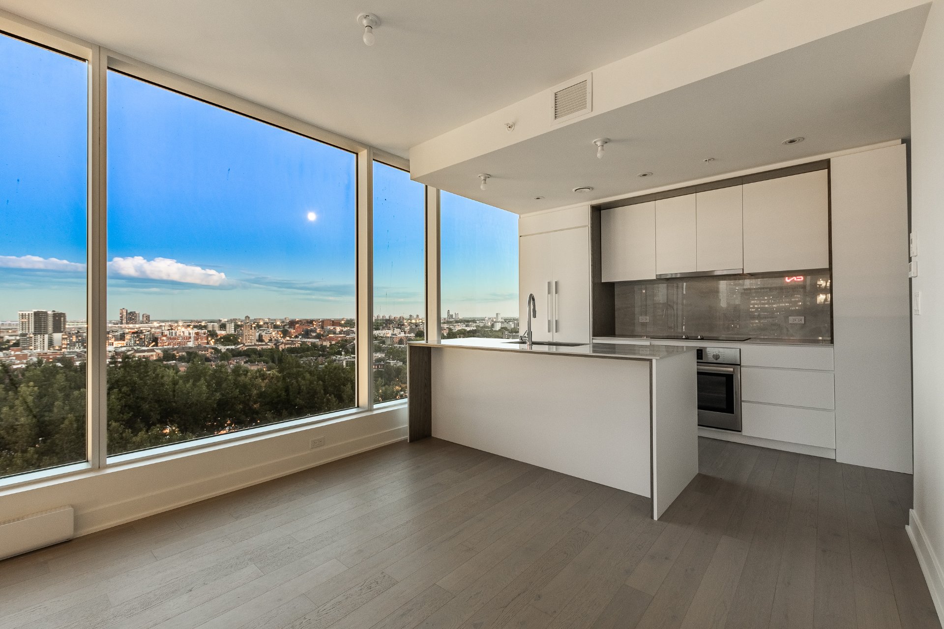 À vendre Appartement | Montréal (Ville-Marie) - picture 2