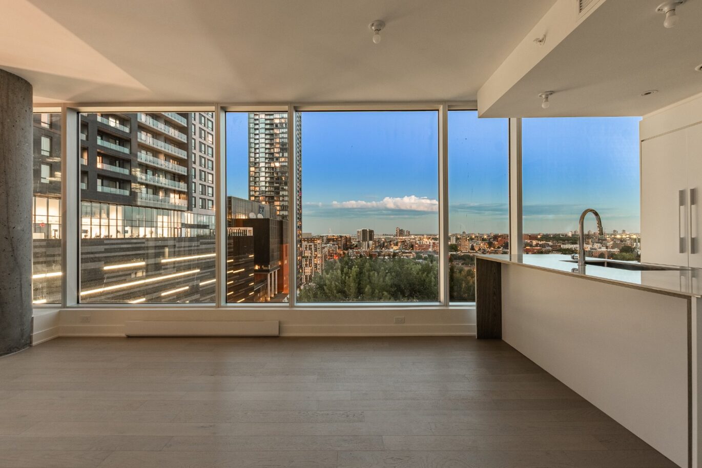 1020 Rue de la Montagne #1005  Montréal (Ville-Marie) (Montréal)