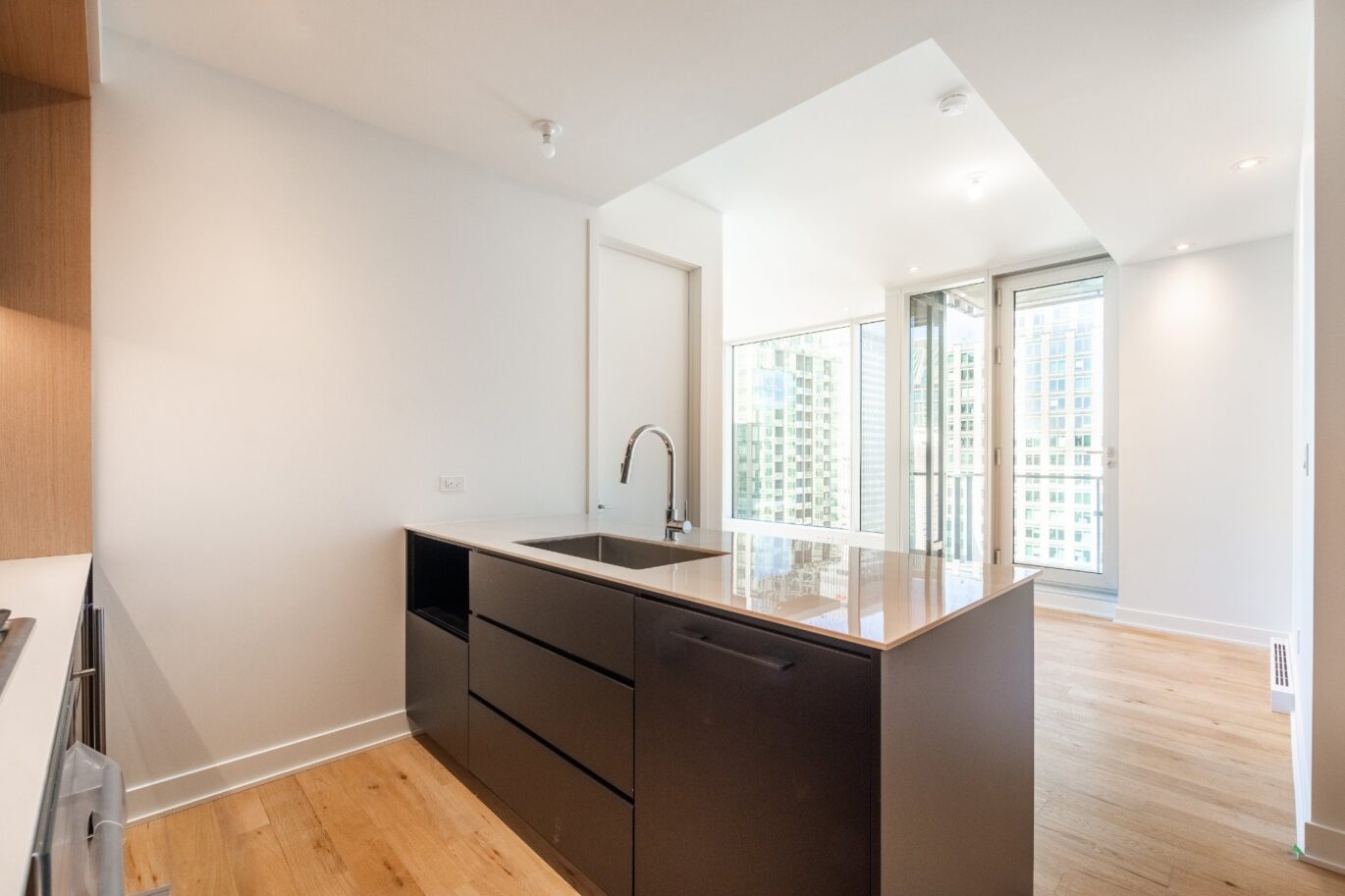 1020 Rue de la Montagne #PH-3701  Montréal (Ville-Marie) (Montréal)