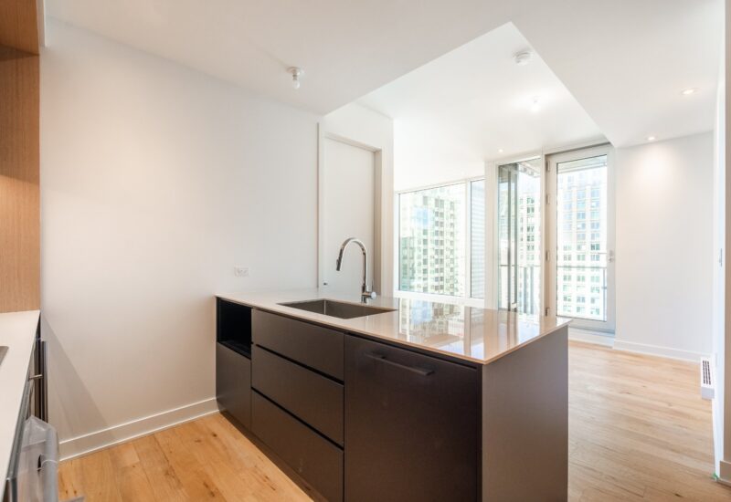 1020 Rue de la Montagne #PH-3701  Montréal (Ville-Marie) (Montréal)