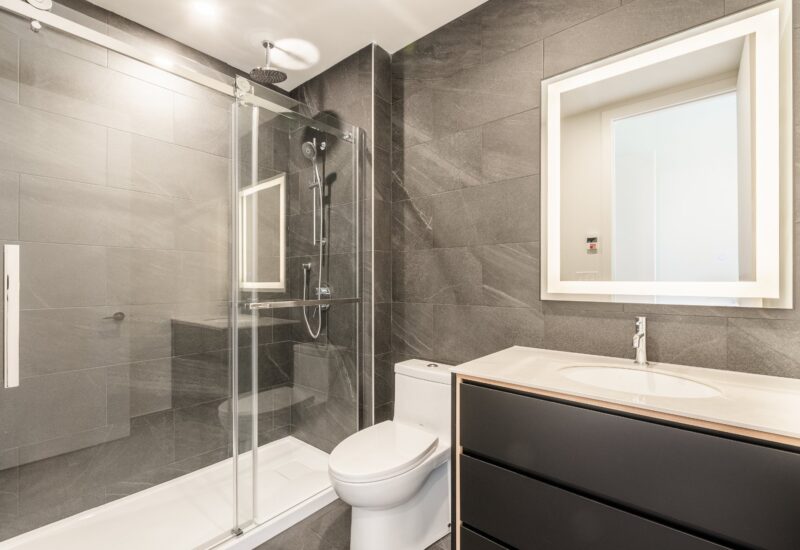 1020 Rue de la Montagne #PH-3701  Montréal (Ville-Marie) (Montréal)